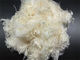 High Hardness Polyphenylene Sulfide Filament with Excellent Weather Resistance